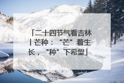 二十四节气看吉林丨芒种：“芒”着生长，“种”下希望