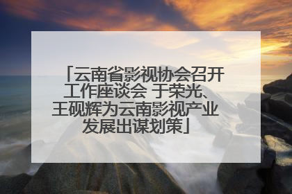 云南省影视协会召开工作座谈会 于荣光、王砚辉为云南影视产业发展出谋划策