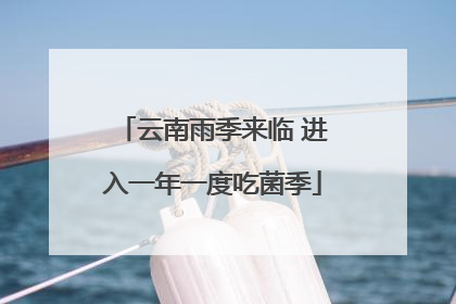 云南雨季来临 进入一年一度吃菌季