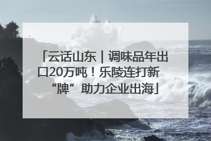 云话山东｜调味品年出口20万吨！乐陵连打新“牌”助力企业出海