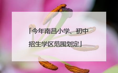 今年南昌小学、初中招生学区范围划定