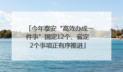 今年泰安“高效办成一件事”国定12个、省定2个事项正有序推进