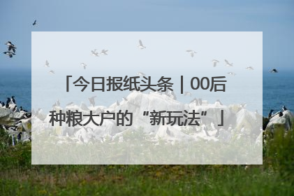 今日报纸头条｜00后种粮大户的“新玩法”