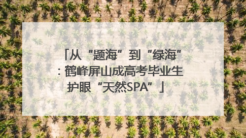 从“题海”到“绿海”：鹤峰屏山成高考毕业生护眼“天然SPA”