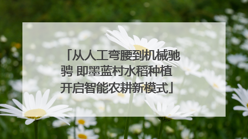 从人工弯腰到机械驰骋 即墨蓝村水稻种植开启智能农耕新模式