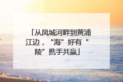 从凤城河畔到黄浦江边，“海”好有“陵”携手共赢