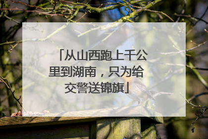 从山西跑上千公里到湖南，只为给交警送锦旗