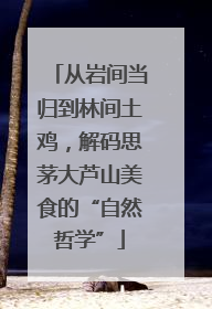 从岩间当归到林间土鸡，解码思茅大芦山美食的“自然哲学”