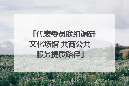 代表委员联组调研文化场馆 共商公共服务提质路径