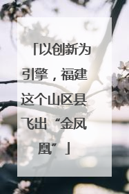 以创新为引擎，福建这个山区县飞出“金凤凰”