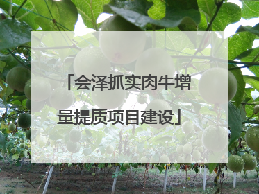 会泽抓实肉牛增量提质项目建设