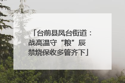 台前县凤台街道：战高温守“粮”辰 禁烧保收多管齐下