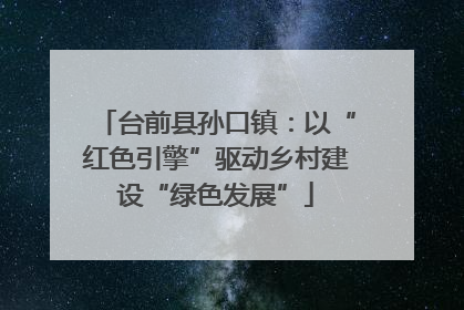 台前县孙口镇：以“红色引擎”驱动乡村建设“绿色发展”