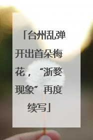 台州乱弹开出首朵梅花，“浙婺现象”再度续写