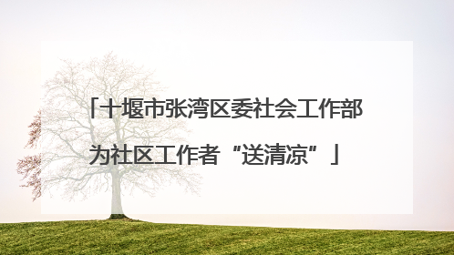 十堰市张湾区委社会工作部为社区工作者“送清凉”