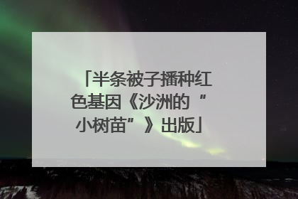 半条被子播种红色基因《沙洲的“小树苗”》出版