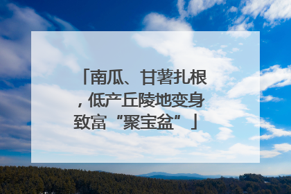 南瓜、甘薯扎根，低产丘陵地变身致富“聚宝盆”