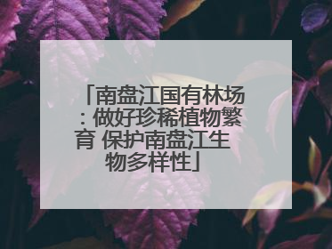 南盘江国有林场：做好珍稀植物繁育 保护南盘江生物多样性