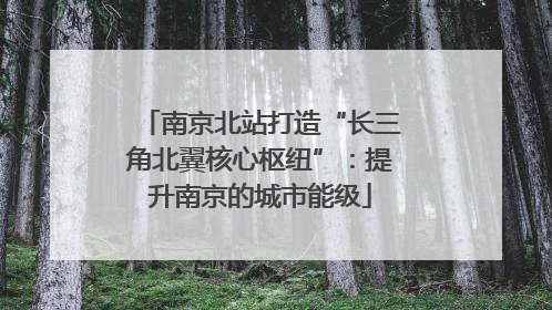 南京北站打造“长三角北翼核心枢纽”：提升南京的城市能级