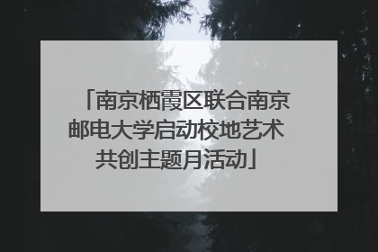 南京栖霞区联合南京邮电大学启动校地艺术共创主题月活动