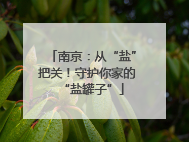 南京：从“盐”把关！守护你家的“盐罐子”