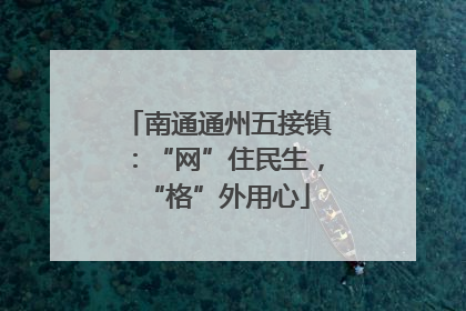 南通通州五接镇：“网”住民生，“格”外用心