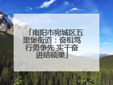 南阳市宛城区五里堡街道：奋楫笃行勇争先 实干奋进结硕果
