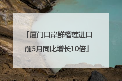 厦门口岸鲜榴莲进口 前5月同比增长10倍