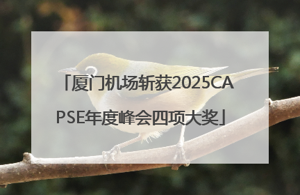 厦门机场斩获2025CAPSE年度峰会四项大奖