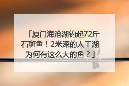 厦门海沧湖钓起72斤石斑鱼！2米深的人工湖为何有这么大的鱼？