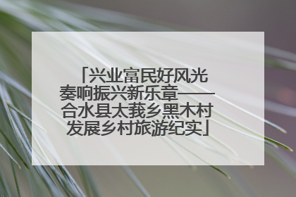 兴业富民好风光 奏响振兴新乐章——合水县太莪乡黑木村发展乡村旅游纪实