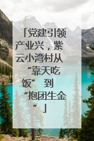 党建引领产业兴，紫云小湾村从 “靠天吃饭” 到 “抱团生金”