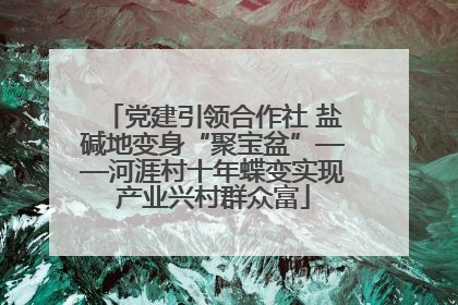 党建引领合作社 盐碱地变身“聚宝盆”——河涯村十年蝶变实现产业兴村群众富