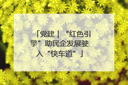 党建｜“红色引擎”助民企发展驶入“快车道”