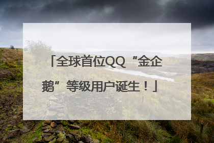 全球首位QQ“金企鹅”等级用户诞生！