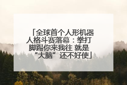 全球首个人形机器人格斗赛落幕：拳打脚踢你来我往 就是“大脑”还不好使