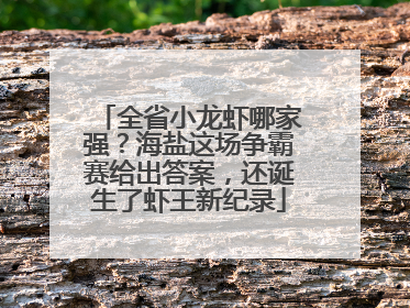 全省小龙虾哪家强？海盐这场争霸赛给出答案，还诞生了虾王新纪录