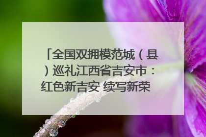 全国双拥模范城（县）巡礼江西省吉安市：红色新吉安 续写新荣光 奋力谱写新时代双拥工作新篇章