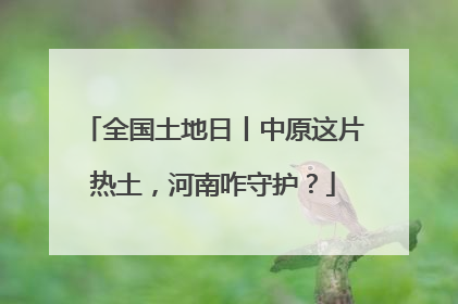 全国土地日丨中原这片热土，河南咋守护？