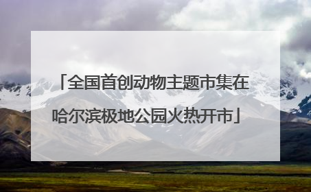 全国首创动物主题市集在哈尔滨极地公园火热开市