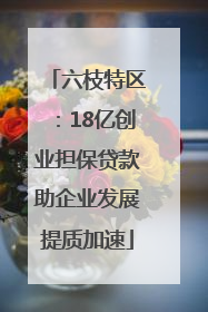 六枝特区：18亿创业担保贷款助企业发展提质加速