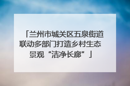 兰州市城关区五泉街道联动多部门打造乡村生态景观“洁净长廊”