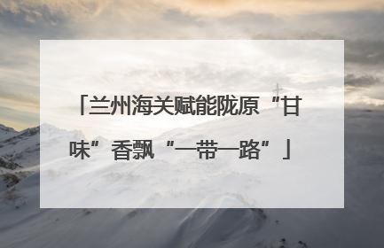 兰州海关赋能陇原“甘味”香飘“一带一路”