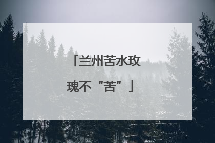 兰州苦水玫瑰不“苦”