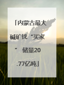 内蒙古最大碱矿找“买家” 储量20.77亿吨