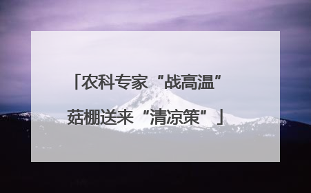 农科专家“战高温” 菇棚送来“清凉策”