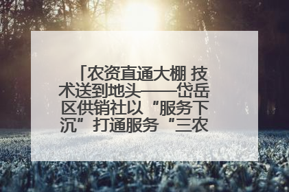 农资直通大棚 技术送到地头——岱岳区供销社以“服务下沉”打通服务“三农”最后一公里