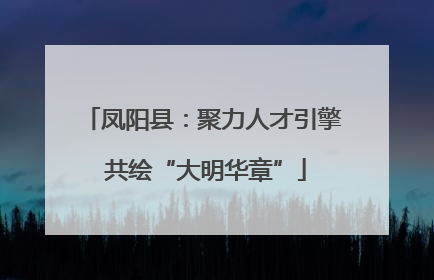 凤阳县：聚力人才引擎 共绘“大明华章”