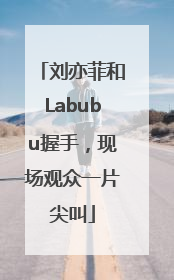 刘亦菲和Labubu握手，现场观众一片尖叫