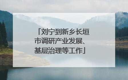 刘宁到新乡长垣市调研产业发展、基层治理等工作